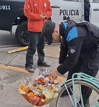 vendedor